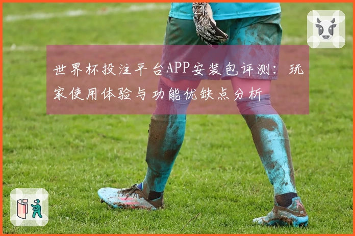 世界杯投注平台APP安装包评测：玩家使用体验与功能优缺点分析