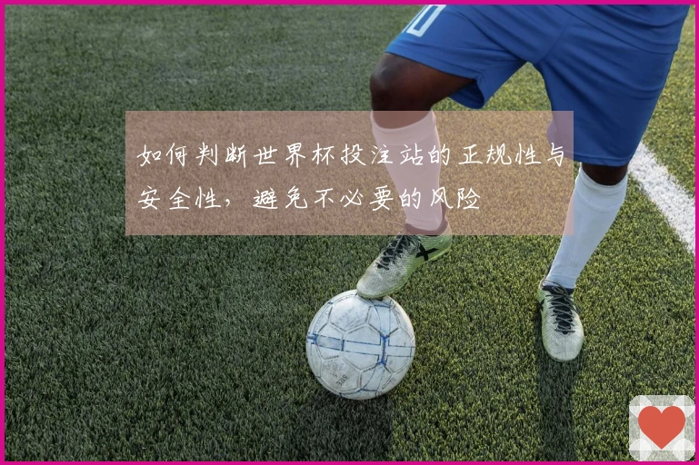 如何判断世界杯投注站的正规性与安全性,避免不必要的风险