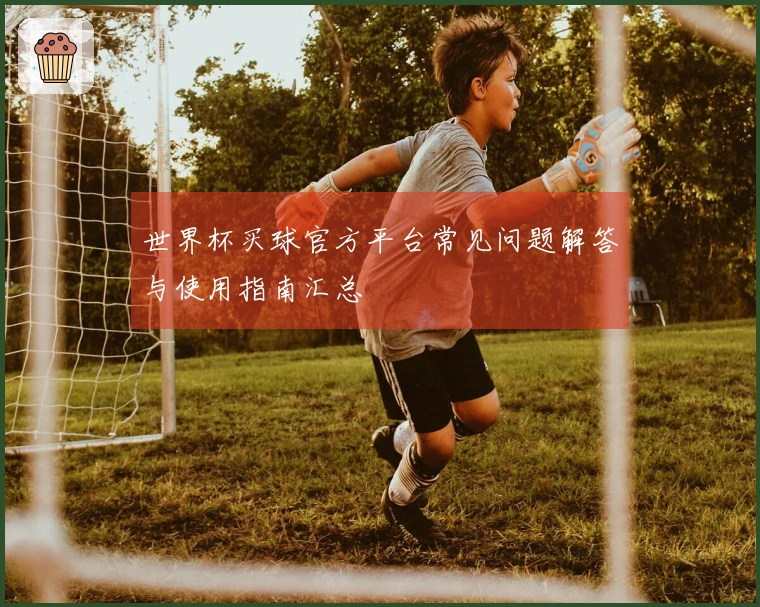 世界杯买球官方平台常见问题解答与使用指南汇总