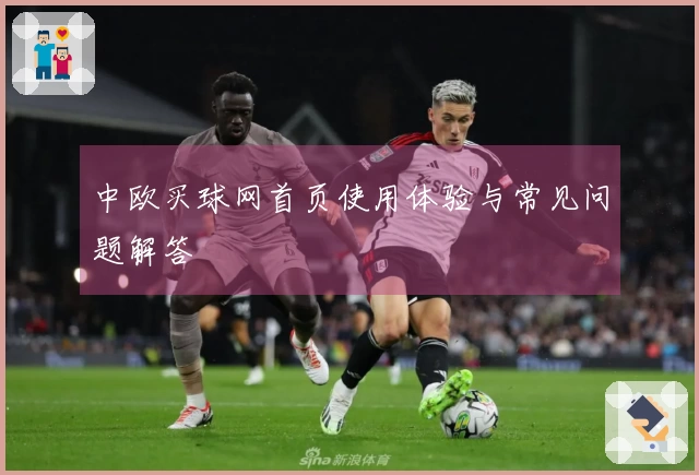 中欧买球网首页使用体验与常见问题解答