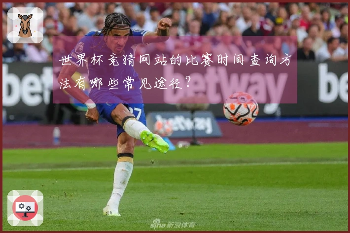 世界杯竞猜网站的比赛时间查询方法有哪些常见途径？