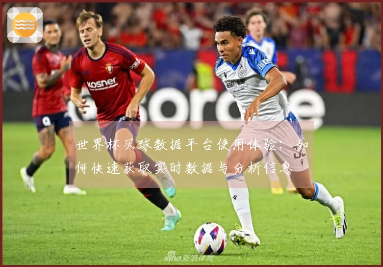 世界杯买球数据平台使用体验:如何快速获取实时数据与分析信息