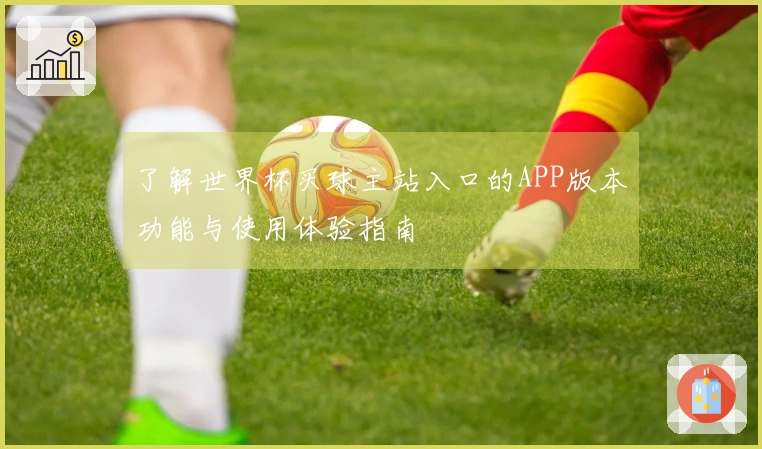 了解世界杯买球主站入口的APP版本功能与使用体验指南