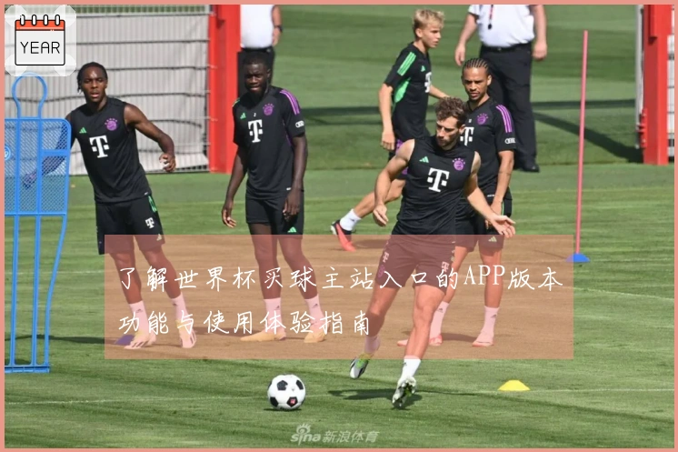 了解世界杯买球主站入口的APP版本功能与使用体验指南