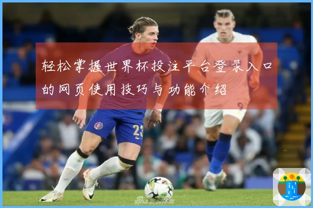 轻松掌握世界杯投注平台登录入口的网页使用技巧与功能介绍