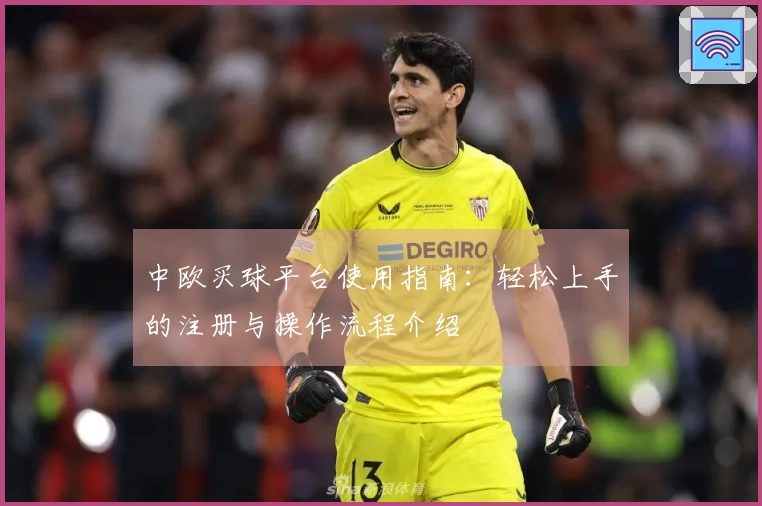 中欧买球平台使用指南：轻松上手的注册与操作流程介绍