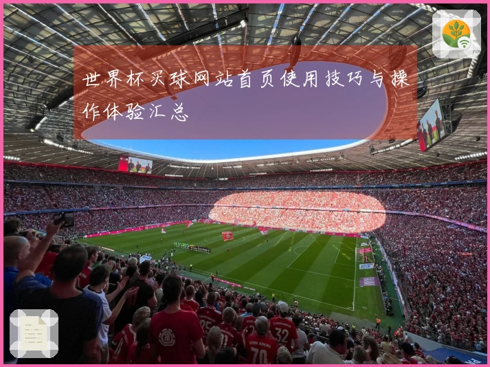 世界杯买球网站首页使用技巧与操作体验汇总