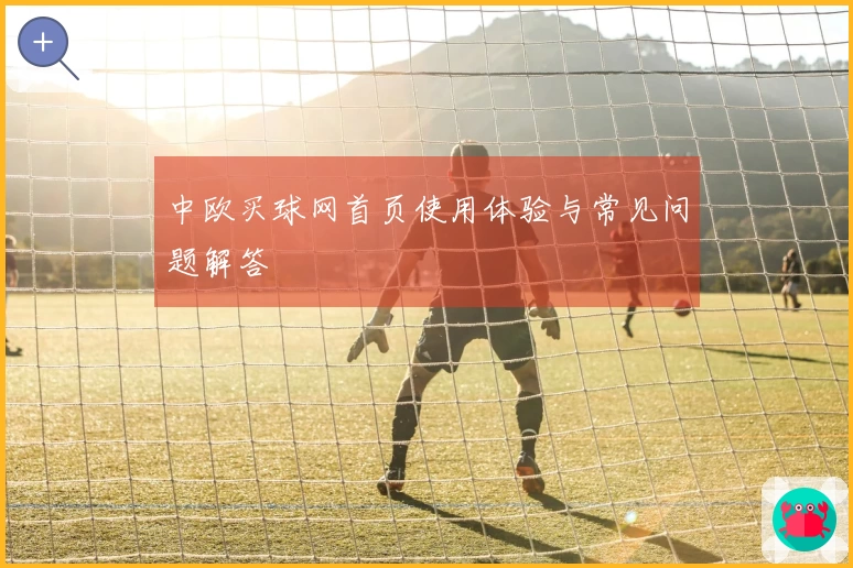 中欧买球网首页使用体验与常见问题解答