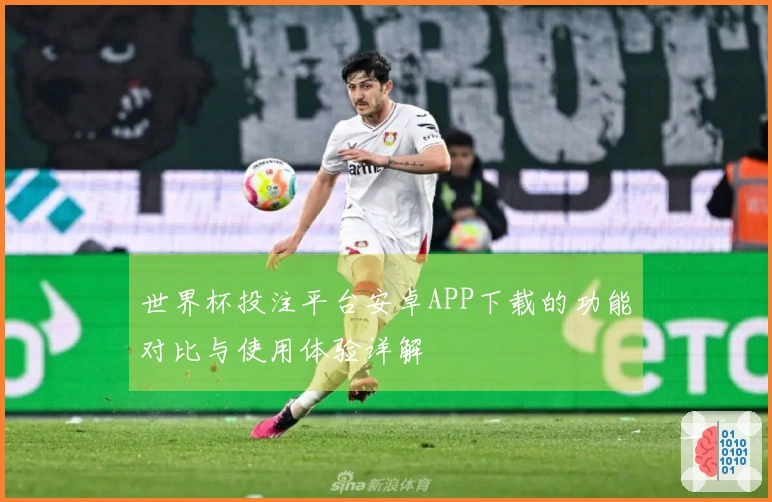 世界杯投注平台安卓APP下载的功能对比与使用体验详解