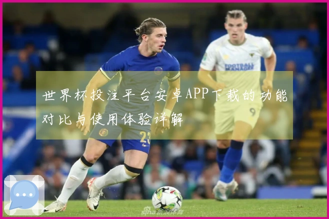 世界杯投注平台安卓APP下载的功能对比与使用体验详解