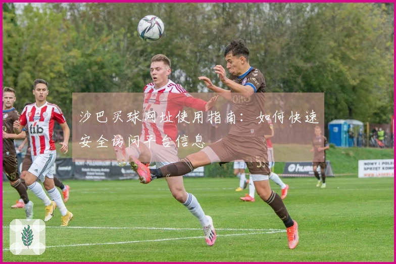 沙巴买球网址使用指南：如何快速安全访问平台信息