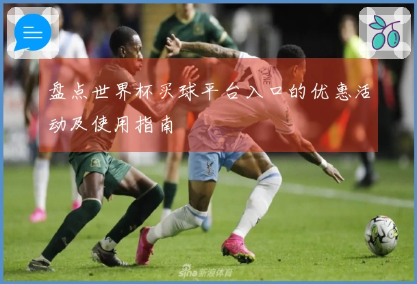 盘点世界杯买球平台入口的优惠活动及使用指南