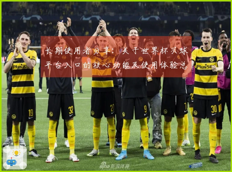 长期使用者分享：关于世界杯买球平台入口的核心功能及使用体验总结